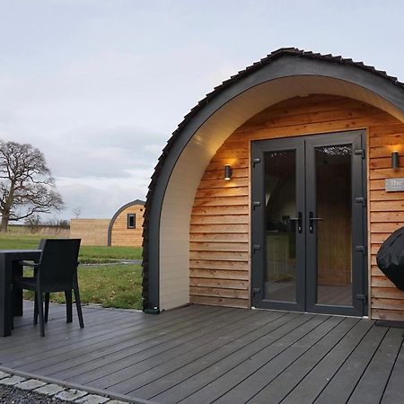 Habberley Glamping Pods Hotel Шрусбъри Екстериор снимка